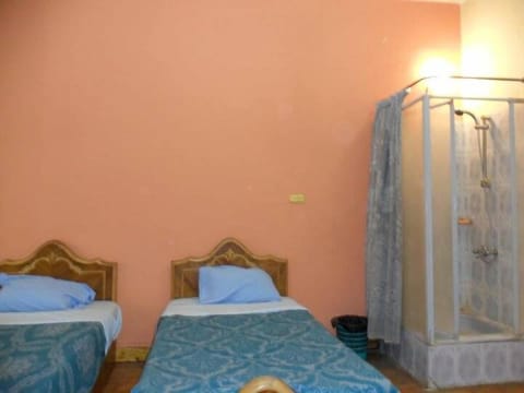 Twin Room, Private Bathroom, City View (with rollaway bed) | Rollaway beds, free WiFi, bed sheets