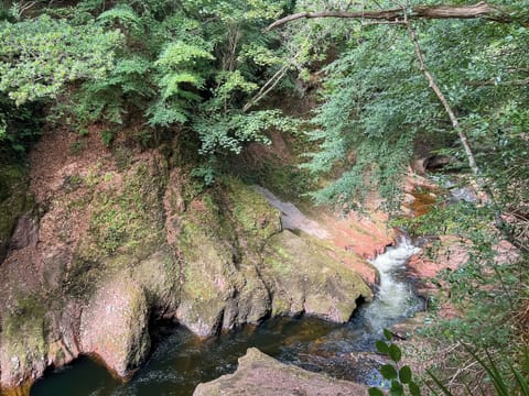 Surrounding area | The Manor Retreat, Edzell, near Brechin