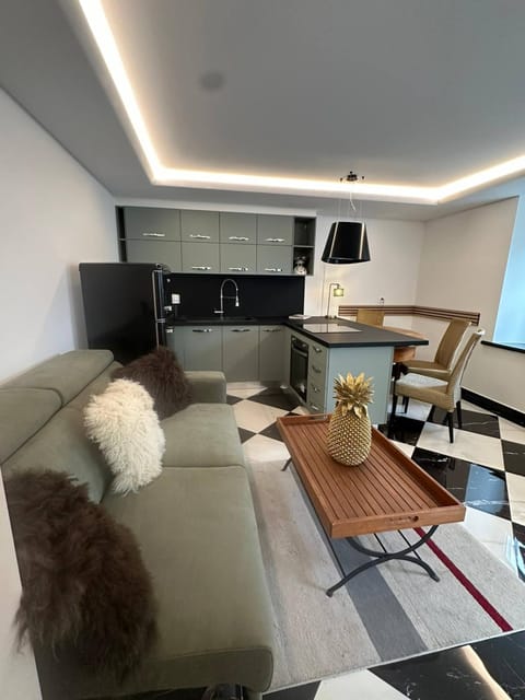 Apartment, 1 Bedroom, Accessible, City View | Living area