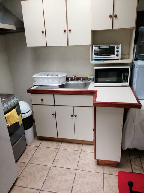 Family Apartment | Private kitchen | Fridge, microwave, stovetop, blender