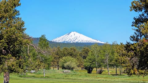 Bachelor on a classic Central Oregon Summer day