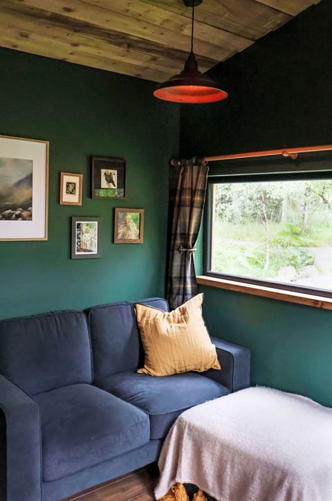 Interior Design, Couch, Living Room, Furniture, Room, Throw Pillow, Comfort, Pillow