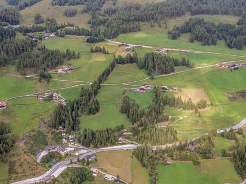 Tree, Aerial Photography, Bird'S-Eye View, Landscape, Plain, Land Lot, Rural Area, Field, Human Settlement, Landscaping