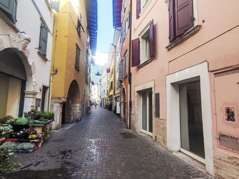 Wall, Alley, Window, Street, Road, Road Surface, Town, Neighbourhood, Human Settlement, Door