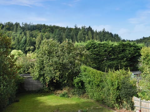 View | Mountjoy, Cinderford