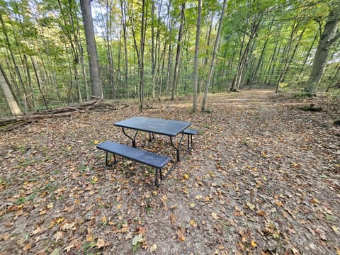 Picnic Table