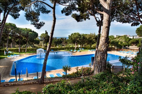 Outdoor pool, pool umbrellas, sun loungers