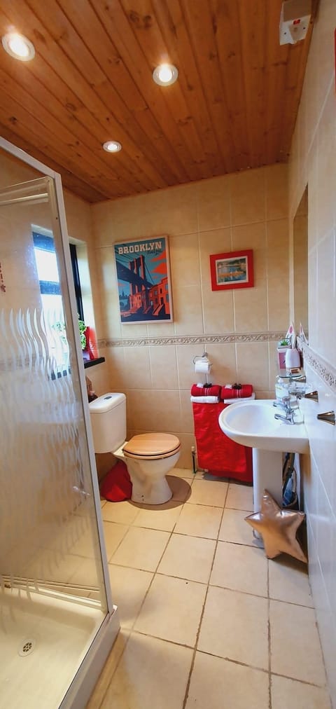 Deluxe Double Room | Bathroom | Shower, hair dryer, towels, soap