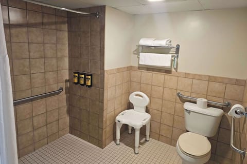 Room, 1 King Bed, Mobility Accessible, Non Smoking (Roll-in Shower) | Accessible bathroom