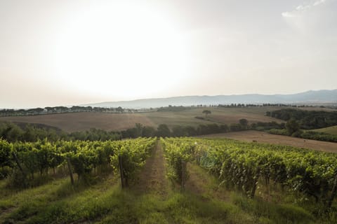 Land view from property