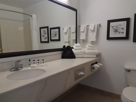 Combined shower/tub, free toiletries, hair dryer, towels