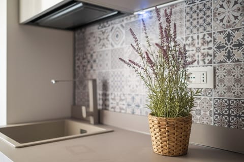 Basic Studio, 1 Queen Bed | Private kitchen | Fridge, microwave, oven, stovetop