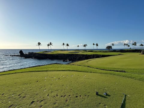 Condo, 1 Bedroom | Golf