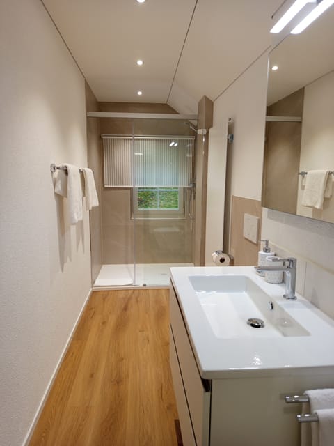 Standard Double or Twin Room | Bathroom | Shower, hair dryer, towels, soap