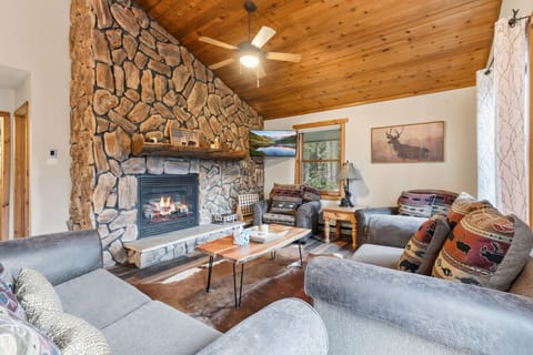 Living room 1: Main floor, Gas fireplace, Smart TV, pull-out couch