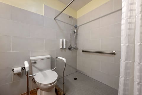 Standard Room, 1 Queen Bed, Accessible, Non Smoking | Bathroom | Shower, hydromassage showerhead, free toiletries, hair dryer