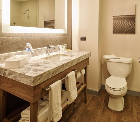 Combined shower/tub, rainfall showerhead, free toiletries, hair dryer