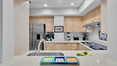 The well equipped kitchen...