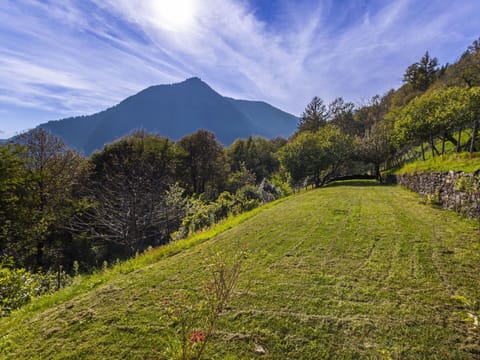 Mountainous Landforms, Green, Mountain, Hill, Nature, Grass, Natural Environment, Leaf, Natural Landscape, Vegetation