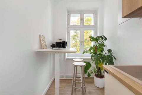 Another view of the kitchen showing its bright, minimalist design and indoor plants. The space is compact but functional for meal preparation.