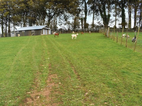 Outdoor | Briallen - Primrose - Nantsidyll Holidays & Spa, Mydroilyn Lampeter