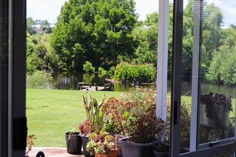 View of the pond from the dining area