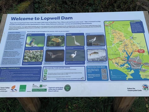 Lopwell Dam information