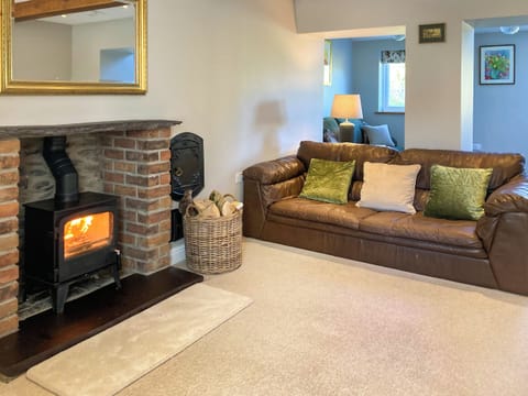 Living area | Aeron Villa, Tregaron