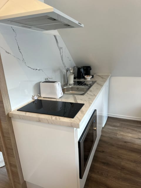 Basic Apartment | Private kitchen | Fridge, microwave, oven, stovetop