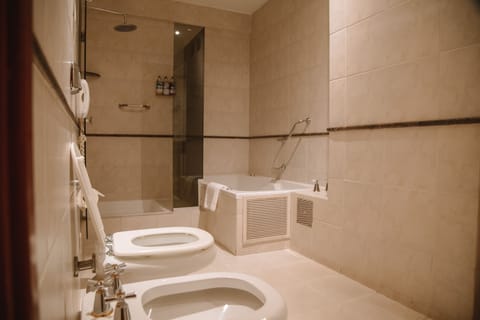 Combined shower/tub, hair dryer, bidet, towels