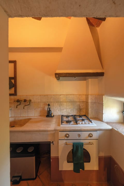 Deluxe Apartment, Hill View | Private kitchen | Highchair