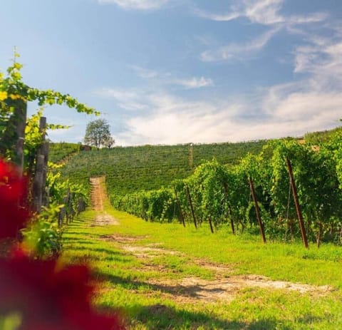 Le colline circostanti