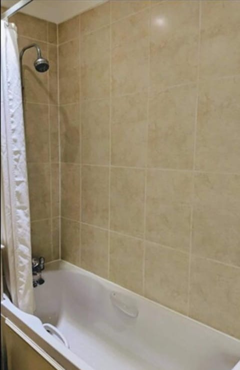 Combined shower/tub, free toiletries, hair dryer, heated floors