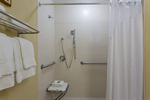 Standard Room, 2 Queen Beds, Accessible (Mobility, Roll-In Shower) | Bathroom | Hair dryer, towels