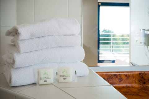 Eco-friendly toiletries, hair dryer, towels