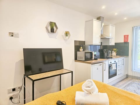 Apartment (0 Bedroom) | Floor plan