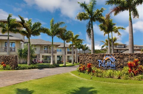 Welcome to Pili Mai!