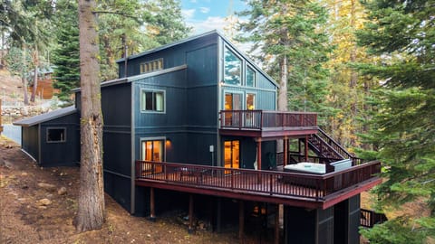Modern cabin exterior surrounded by tall pine trees.