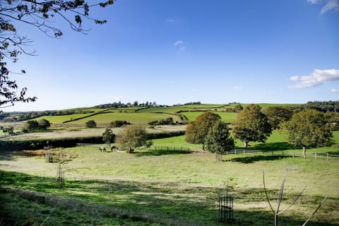 Pillhead Cart Linhay, Bideford: North Devon