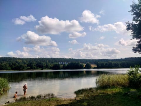 House | View from property