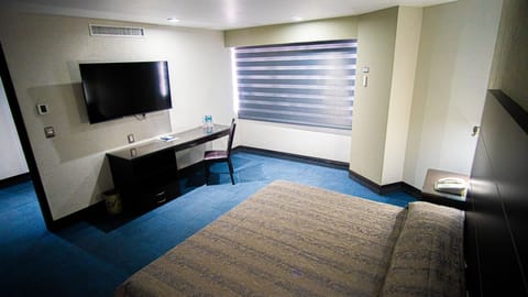 Family Suite | Premium bedding, in-room safe, desk, laptop workspace