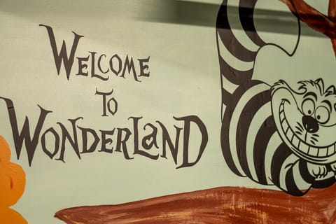 The Cheshire Cat welcomes you to the whimsical world of Storybook Sunshine’s Wonderland-inspired game room.