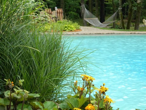 Seasonal outdoor pool, open 10:00 AM to 8:00 PM, sun loungers