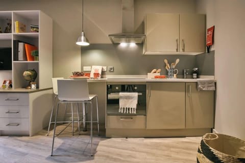 Studio, Non Smoking | Private kitchen | Mini-fridge, oven, stovetop