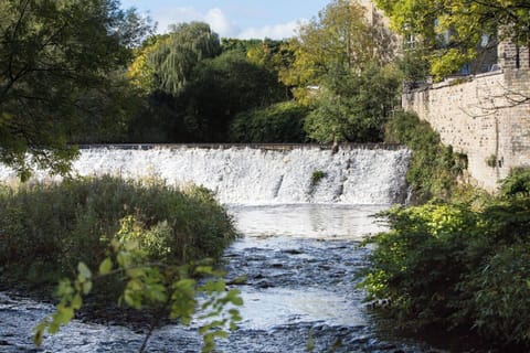 Land view from property