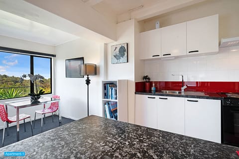 Panoramic Apartment, 1 Bedroom | Private kitchen | Full-size fridge, microwave, stovetop, coffee/tea maker