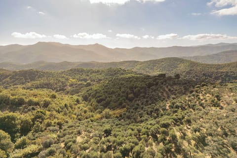 Autumn, Scenic View, Spring, Summer