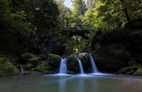 Camping Gritt - De Lodge - surroundings