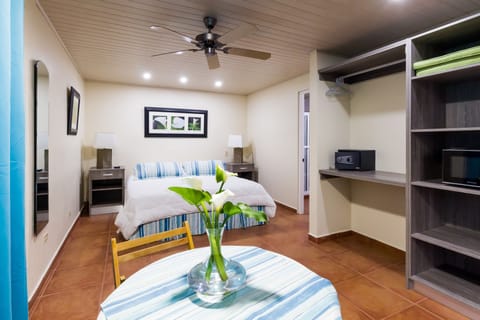 Exclusive Studio, 1 King Bed, Private Bathroom, Garden View | In-room safe, free WiFi, bed sheets