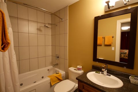 Combined shower/tub, hair dryer, towels